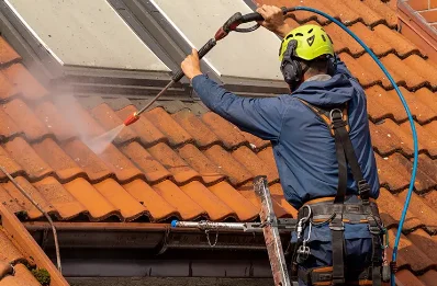 Démoussage et hydrofuge de toiture à Cromac